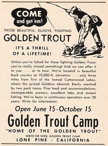 golden trout camp